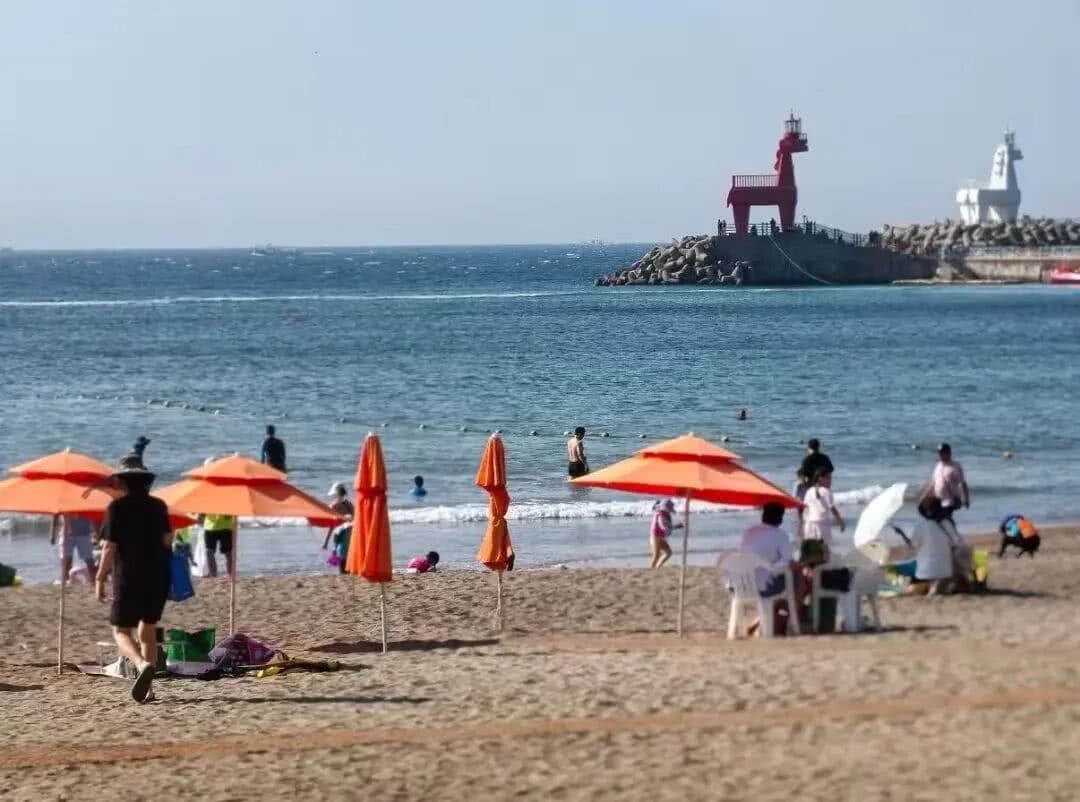 【EV扑克】红龙杯PLUS赛后指南:别再赶景点了,这才是济州最顶级的放空方式